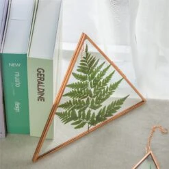 Hanging Triangle Herbarium Copper Glass Frame For Pressed Flowers Dried Flowers Poster 13 Hanging Triangle Herbarium Copper Glass Frame For Pressed Flowers Dried Flowers Poster -Ncyp Garden Sale Shop 3033