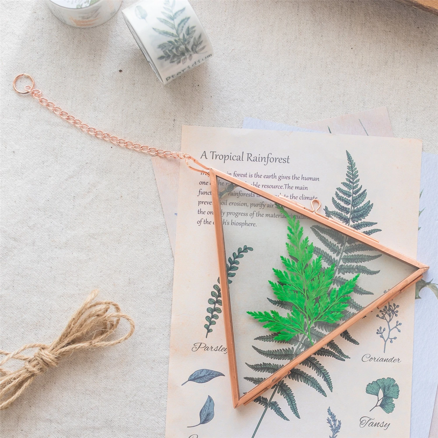Hanging Triangle Herbarium Copper Glass Frame For Pressed Flowers Dried Flowers Poster 9 Hanging Triangle Herbarium Copper Glass Frame For Pressed Flowers Dried Flowers Poster - Image 9