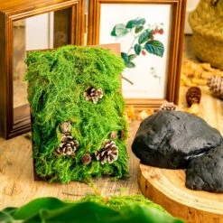 Gardening Plasticine DIY Clay For Perserved Moss, Vertical Garden, Terrarium, Micro Landscape, 500g / 1.1lb -Ncyp Garden Sale Shop 5029