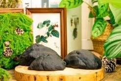 Gardening Plasticine DIY Clay For Perserved Moss, Vertical Garden, Terrarium, Micro Landscape, 500g / 1.1lb -Ncyp Garden Sale Shop 5040