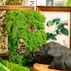 Gardening Plasticine DIY Clay For Perserved Moss, Vertical Garden, Terrarium, Micro Landscape, 500g / 1.1lb -Ncyp Garden Sale Shop 5041