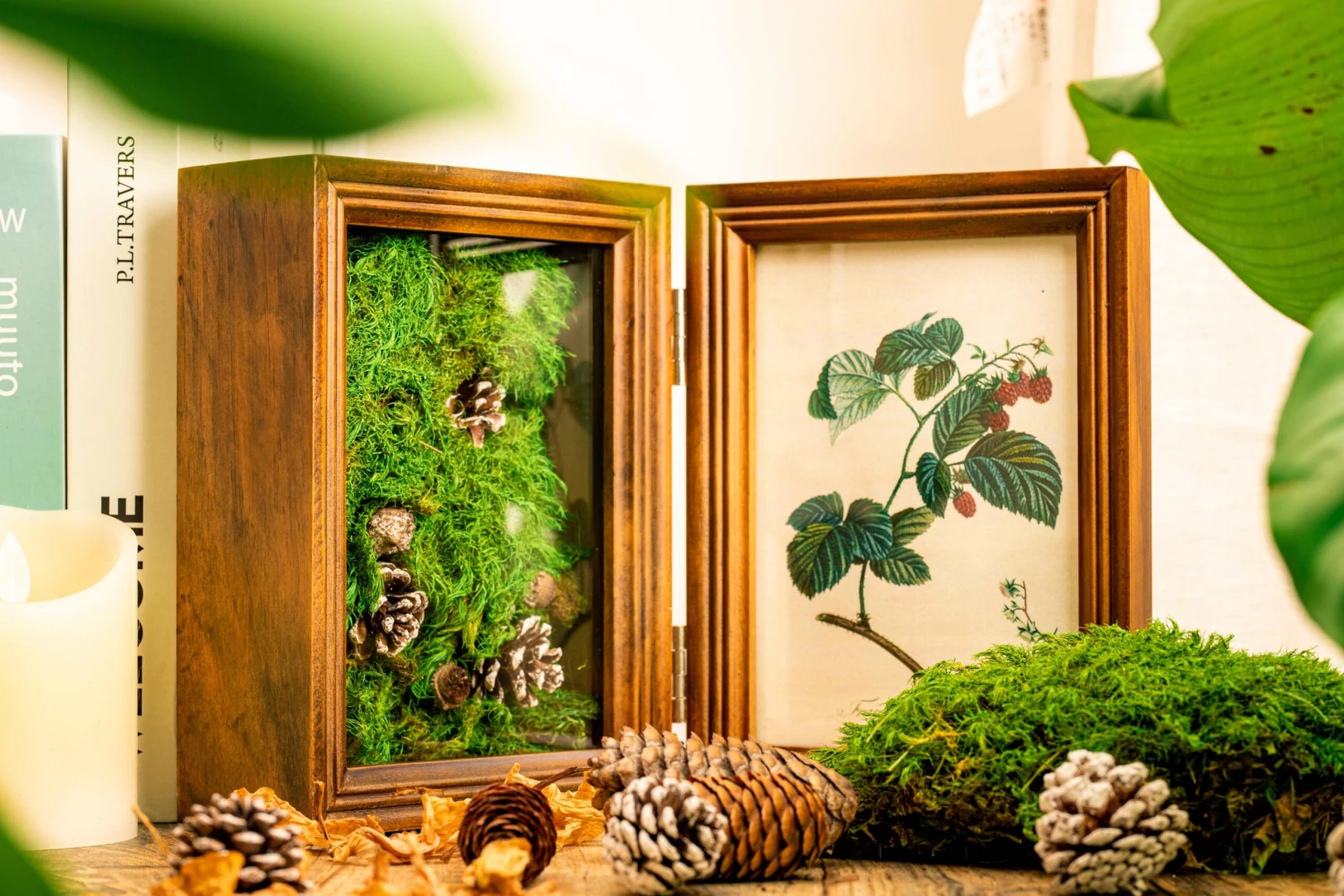 Preserved Long Hairy Moss, Green 20x50cm, For DIY Moss Wall, Moss Terrarium, Vertical Garden 2 Preserved Long Hairy Moss, Green 20x50cm, For DIY Moss Wall, Moss Terrarium, Vertical Garden - Image 2