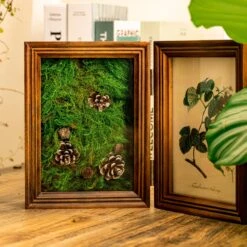 Preserved Long Hairy Moss, Green 20x50cm, For DIY Moss Wall, Moss Terrarium, Vertical Garden 13 Preserved Long Hairy Moss, Green 20x50cm, For DIY Moss Wall, Moss Terrarium, Vertical Garden -Ncyp Garden Sale Shop 5088