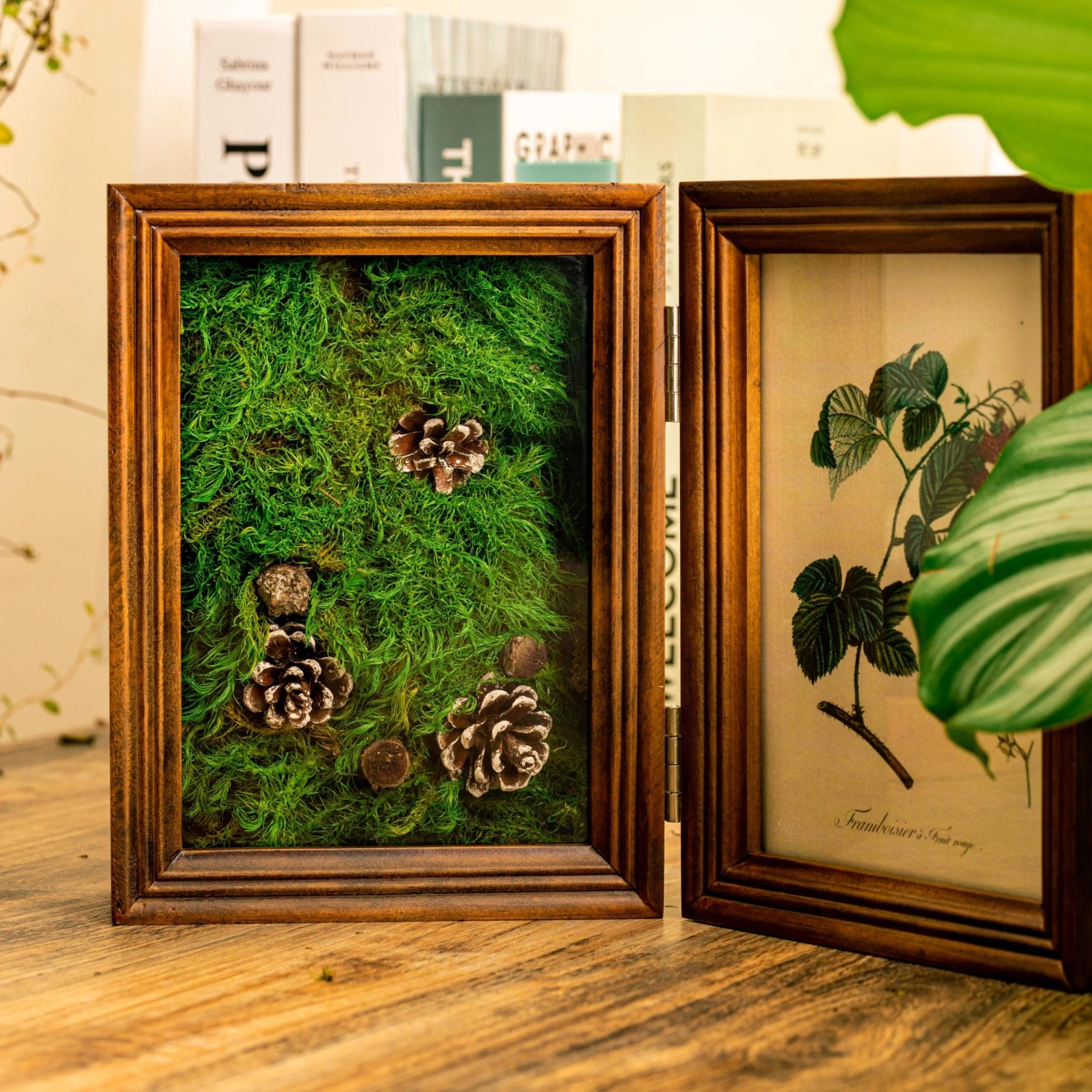 Preserved Long Hairy Moss, Green 20x50cm, For DIY Moss Wall, Moss Terrarium, Vertical Garden 4 Preserved Long Hairy Moss, Green 20x50cm, For DIY Moss Wall, Moss Terrarium, Vertical Garden - Image 4