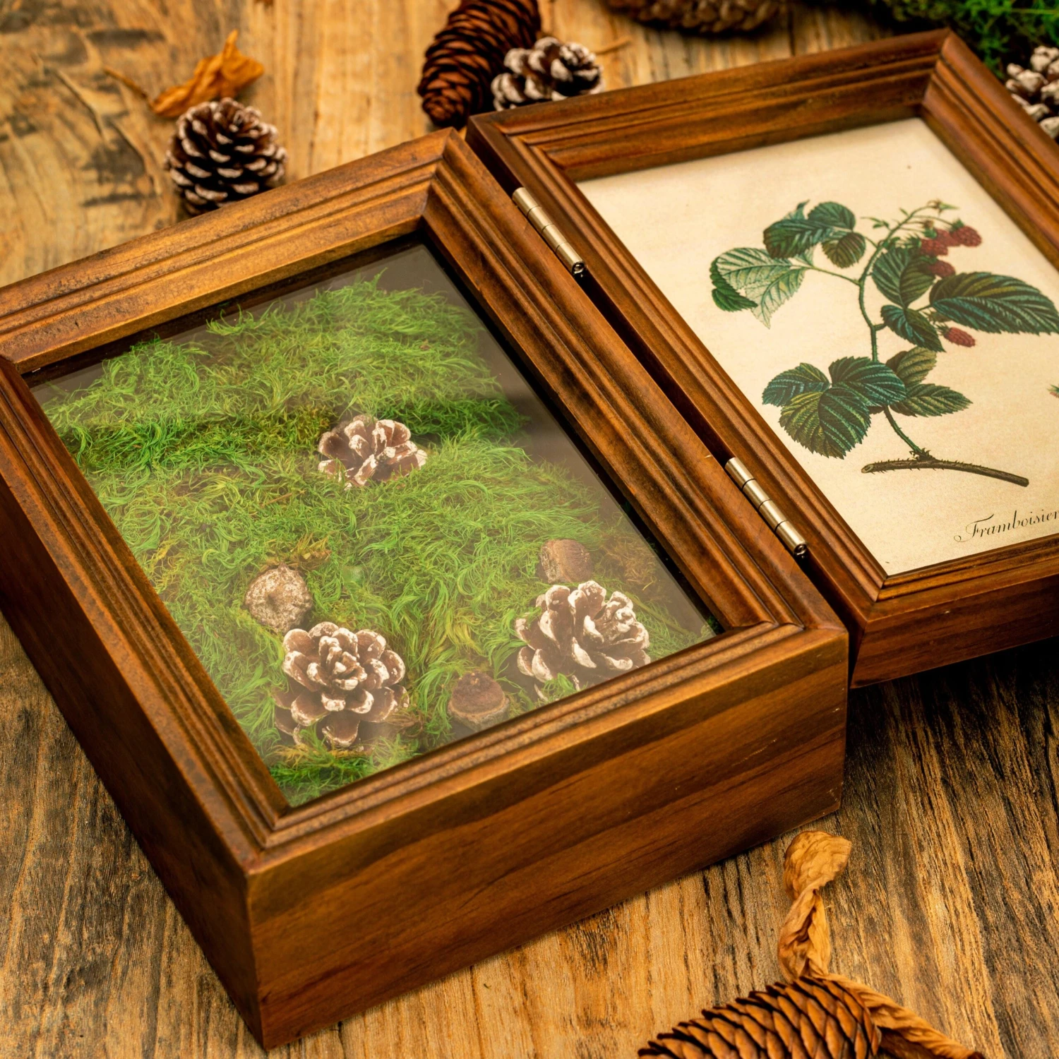 Preserved Long Hairy Moss, Green 20x50cm, For DIY Moss Wall, Moss Terrarium, Vertical Garden 5 Preserved Long Hairy Moss, Green 20x50cm, For DIY Moss Wall, Moss Terrarium, Vertical Garden - Image 5