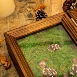 Preserved Long Hairy Moss, Green 20x50cm, For DIY Moss Wall, Moss Terrarium, Vertical Garden 15 Preserved Long Hairy Moss, Green 20x50cm, For DIY Moss Wall, Moss Terrarium, Vertical Garden -Ncyp Garden Sale Shop 5100