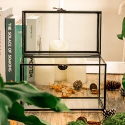 Ncyp Garden Sale Shop -Ncyp Garden Sale Shop 5123