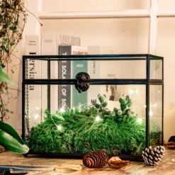 Black Geometric Glass Card Box Terrarium Foot Latch Handmade Rectangular For Wedding Receiption Wishwell Keepsake -Ncyp Garden Sale Shop 5162