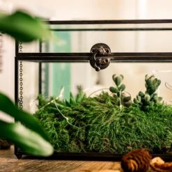 Black Geometric Glass Card Box Terrarium Foot Latch Handmade Rectangular For Wedding Receiption Wishwell Keepsake -Ncyp Garden Sale Shop 5169