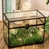 Black Geometric Glass Card Box Terrarium Foot Latch Handmade Rectangular For Wedding Receiption Wishwell Keepsake
