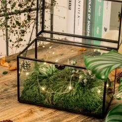 Black Geometric Glass Card Box Terrarium Foot Latch Handmade Rectangular For Wedding Receiption Wishwell Keepsake -Ncyp Garden Sale Shop 5190