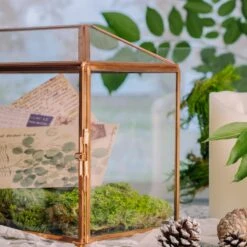 Large Geometric Glass Card Box Terrarium With Slot And Heart Lock, Foot, Gold, Handmade, Brass,for Wedding Receiption, Wishwell, Keepsake Centerpiece -Ncyp Garden Sale Shop 5325
