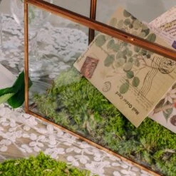 Preserved Short Moss, Leucobryum, Natural Green 20x50cm, For DIY Moss Wall, Moss Terrarium, Vertical Garden 9 Preserved Short Moss, Leucobryum, Natural Green 20x50cm, For DIY Moss Wall, Moss Terrarium, Vertical Garden -Ncyp Garden Sale Shop 5348