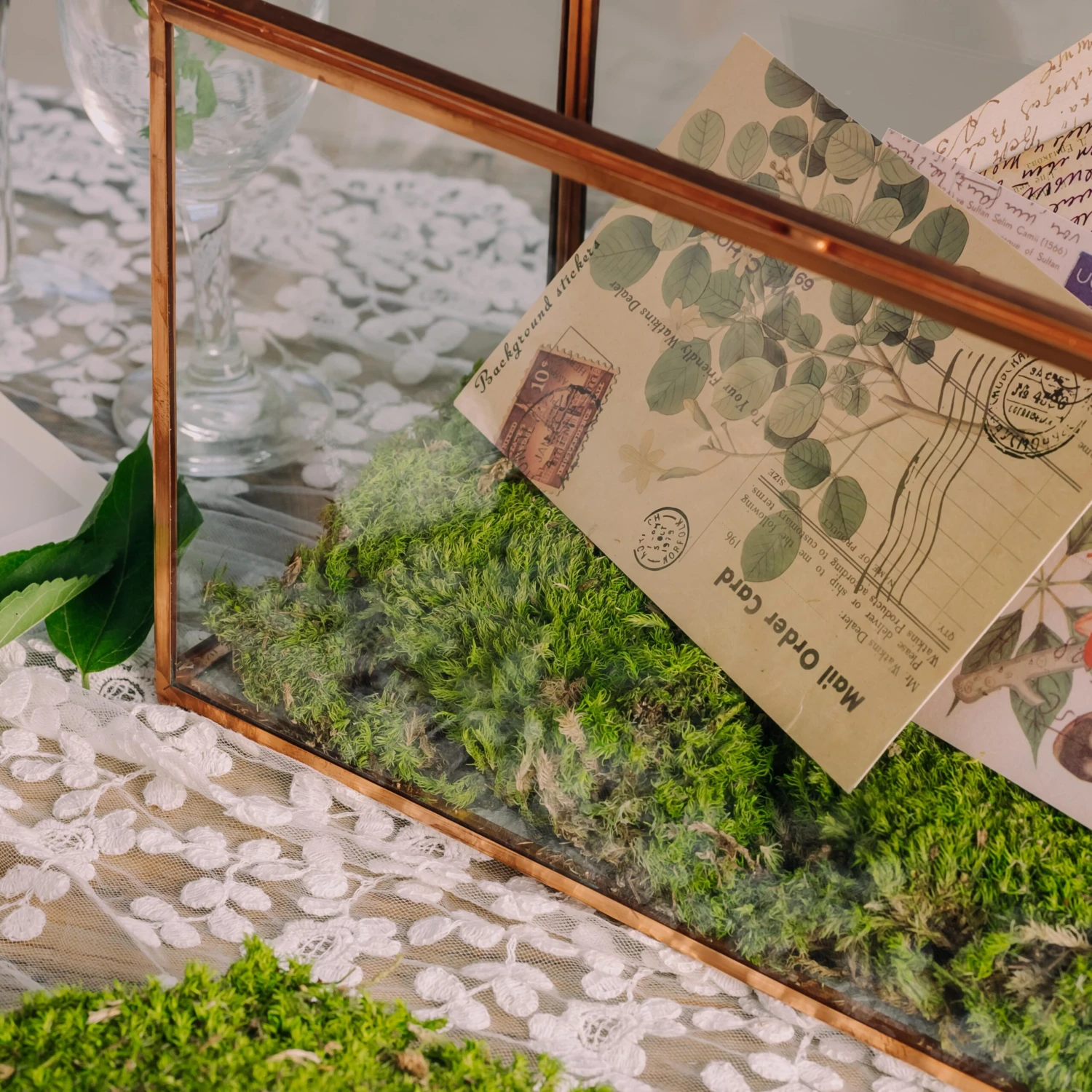 Preserved Short Moss, Leucobryum, Natural Green 20x50cm, For DIY Moss Wall, Moss Terrarium, Vertical Garden 4 Preserved Short Moss, Leucobryum, Natural Green 20x50cm, For DIY Moss Wall, Moss Terrarium, Vertical Garden - Image 4