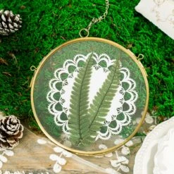 NCYP Wall Hanging Round 5" 4.3" Herbarium Brass Glass Frame For Pressed Flowers, Dried Flowers, Poster, Double Glass, Floating Frame -Ncyp Garden Sale Shop 5735