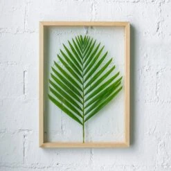 NCYP Handmade 5' 20" A3 A4 Large Tabletop Wall Hanging Natural Wood Acrylic Artwork Floating Frame -Ncyp Garden Sale Shop 8236