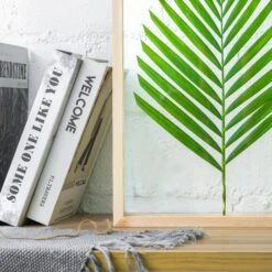 NCYP Handmade 5' 20" A3 A4 Large Tabletop Wall Hanging Natural Wood Acrylic Artwork Floating Frame -Ncyp Garden Sale Shop 8270