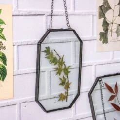 Wall Hanging Black Long Octagon Herbarium Brass Glass Frame For Pressed Flowers Dried Floating Frame -Ncyp Garden Sale Shop 8457
