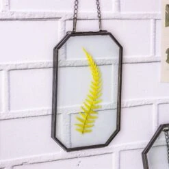 Wall Hanging Black Long Octagon Herbarium Brass Glass Frame For Pressed Flowers Dried Floating Frame -Ncyp Garden Sale Shop 8459