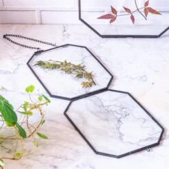 Wall Hanging Black Long Octagon Herbarium Brass Glass Frame For Pressed Flowers Dried Floating Frame -Ncyp Garden Sale Shop 8480