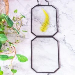 Wall Hanging Black Long Octagon Herbarium Brass Glass Frame For Pressed Flowers Dried Floating Frame -Ncyp Garden Sale Shop 8505