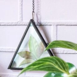 Hanging Black Triangle Herbarium Brass Glass Frame For Pressed Flowers Dried Flowers Poster -Ncyp Garden Sale Shop 8566