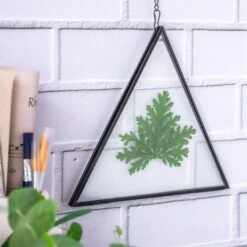 Hanging Black Triangle Herbarium Brass Glass Frame For Pressed Flowers Dried Flowers Poster -Ncyp Garden Sale Shop 8585