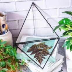 Hanging Black Triangle Herbarium Brass Glass Frame For Pressed Flowers Dried Flowers Poster -Ncyp Garden Sale Shop 8592