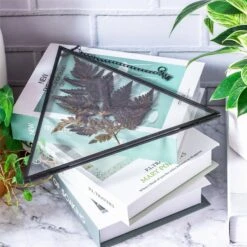 Hanging Black Triangle Herbarium Brass Glass Frame For Pressed Flowers Dried Flowers Poster -Ncyp Garden Sale Shop 8595