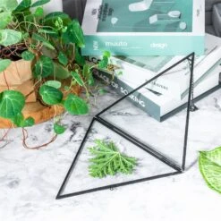 Hanging Black Triangle Herbarium Brass Glass Frame For Pressed Flowers Dried Flowers Poster -Ncyp Garden Sale Shop 8602
