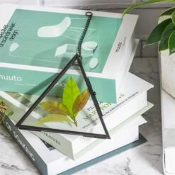 Hanging Black Triangle Herbarium Brass Glass Frame For Pressed Flowers Dried Flowers Poster -Ncyp Garden Sale Shop 8607