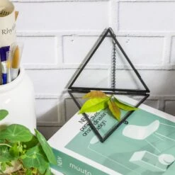 Hanging Black Triangle Herbarium Brass Glass Frame For Pressed Flowers Dried Flowers Poster -Ncyp Garden Sale Shop 8609