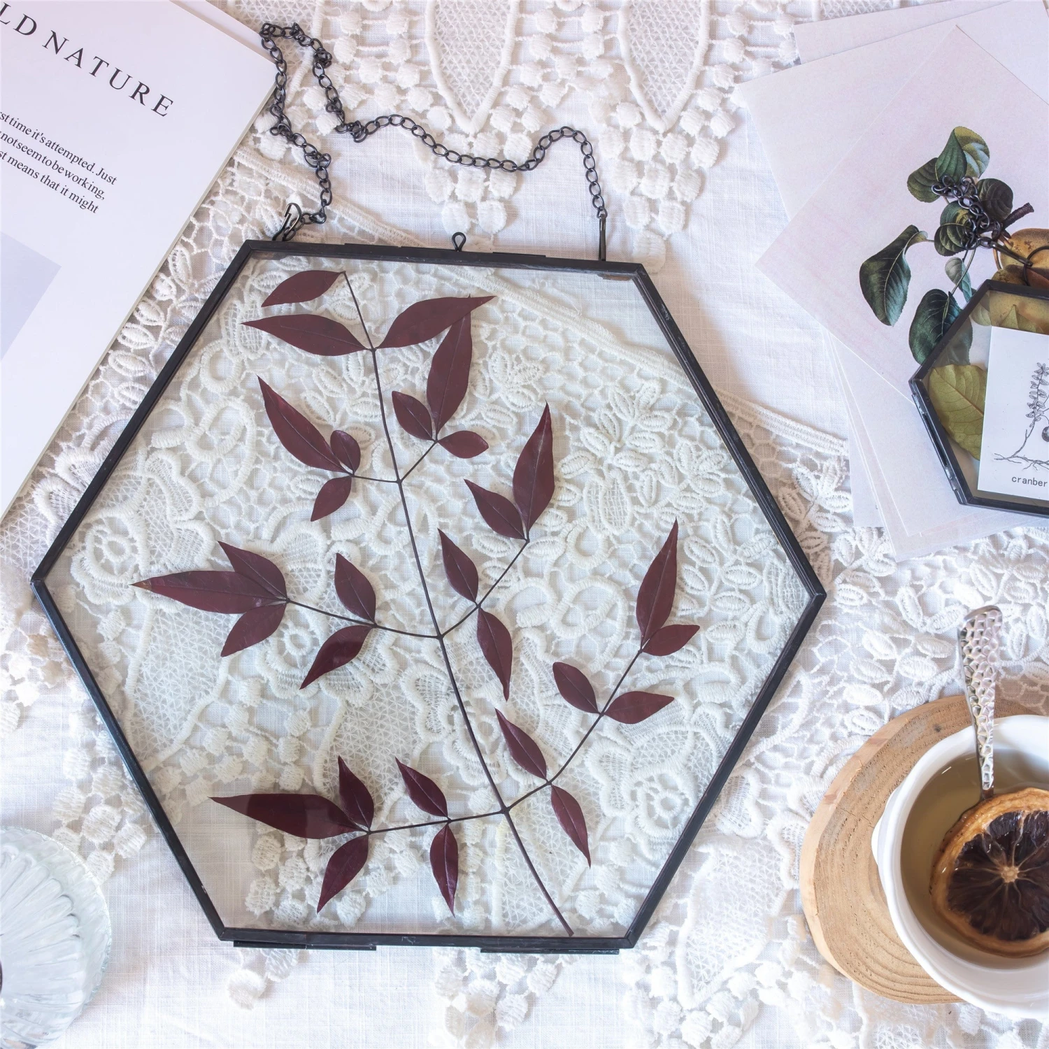 Hanging Black Hexagon Herbarium Brass Glass Frame For Pressed Flowers Dried Flowers Floating Frame 5 Hanging Black Hexagon Herbarium Brass Glass Frame For Pressed Flowers Dried Flowers Floating Frame - Image 5