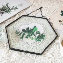 Hanging Black Hexagon Herbarium Brass Glass Frame For Pressed Flowers Dried Flowers Floating Frame 17 Hanging Black Hexagon Herbarium Brass Glass Frame For Pressed Flowers Dried Flowers Floating Frame -Ncyp Garden Sale Shop 8686