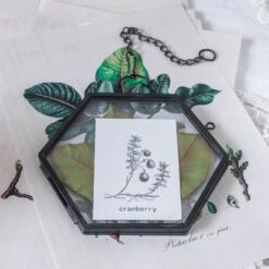 Handmade Black Vintage Brass Floating Hanging Glass Hexagon Picture Photo Frame Small Side Length 2" -Ncyp Garden Sale Shop 8689