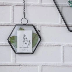Handmade Black Vintage Brass Floating Hanging Glass Hexagon Picture Photo Frame Small Side Length 2" -Ncyp Garden Sale Shop 8716
