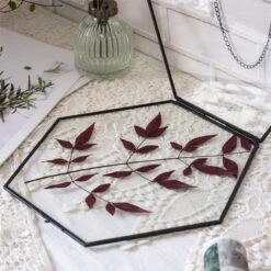 Hanging Black Hexagon Herbarium Brass Glass Frame For Pressed Flowers Dried Flowers Floating Frame 15 Hanging Black Hexagon Herbarium Brass Glass Frame For Pressed Flowers Dried Flowers Floating Frame -Ncyp Garden Sale Shop 8741