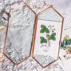 NCYP Vintage Rose Gold Copper Floating Hanging Glass Long Hexagon Frame For Fern, Pressed Flower -Ncyp Garden Sale Shop 8932