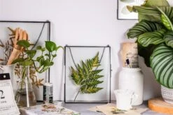 Handmade Black Large Wall Hanging Brass Glass Artwork Certificate Photo Display Floating Frame -Ncyp Garden Sale Shop 8978