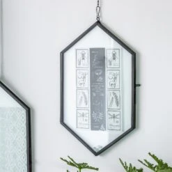 NCYP Vintage Black Brass Floating Hanging Glass Long Hexagon Photo Frame For Fern, Pressed Flower -Ncyp Garden Sale Shop 8992