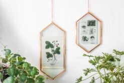 NCYP Vintage Rose Gold Copper Floating Hanging Glass Long Hexagon Frame For Fern, Pressed Flower -Ncyp Garden Sale Shop 8999