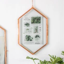 NCYP Vintage Rose Gold Copper Floating Hanging Glass Long Hexagon Frame For Fern, Pressed Flower -Ncyp Garden Sale Shop 9004