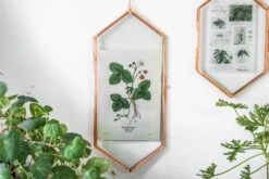 NCYP Vintage Rose Gold Copper Floating Hanging Glass Long Hexagon Frame For Fern, Pressed Flower -Ncyp Garden Sale Shop 9005