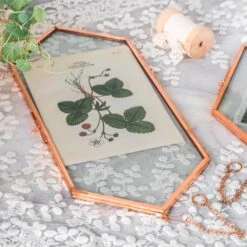 NCYP Vintage Rose Gold Copper Floating Hanging Glass Long Hexagon Frame For Fern, Pressed Flower -Ncyp Garden Sale Shop 9034