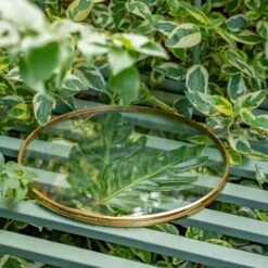 NCYP Wall Hanging Round 8" 10" 12" Herbarium Brass Glass Frame For Pressed Flowers, Poster, Double Glass, Floating Frame -Ncyp Garden Sale Shop DSC02277