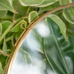 NCYP Wall Hanging Round 8" 10" 12" Herbarium Brass Glass Frame For Pressed Flowers, Poster, Double Glass, Floating Frame -Ncyp Garden Sale Shop DSC02305