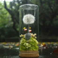Presered Dandelion Set 3 Pcs Dried Flowers, DIY Material For Bouquet, -Ncyp Garden Sale Shop DSC 0227