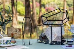 Brass Gold Tabletop Vintage Frame Geometric Ornament Plant Specimen Clip Modern Decor Card Holder 5X7" Reception 27 Brass Gold Tabletop Vintage Frame Geometric Ornament Plant Specimen Clip Modern Decor Card Holder 5X7" Reception -Ncyp Garden Sale Shop G01A0089