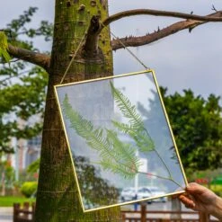 Handmade Large Wall Hanging Brass Glass Artwork Certificate Photo Picture Display Floating Frame -Ncyp Garden Sale Shop G01A0166 c07a3cf0 ee1d 4273 8a31 499b3357748d