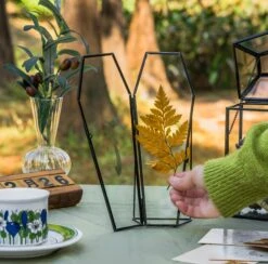 Brass Gold Tabletop Vintage Frame Geometric Ornament Plant Specimen Clip Modern Decor Card Holder 5X7" Reception 31 Brass Gold Tabletop Vintage Frame Geometric Ornament Plant Specimen Clip Modern Decor Card Holder 5X7" Reception -Ncyp Garden Sale Shop G01A0185